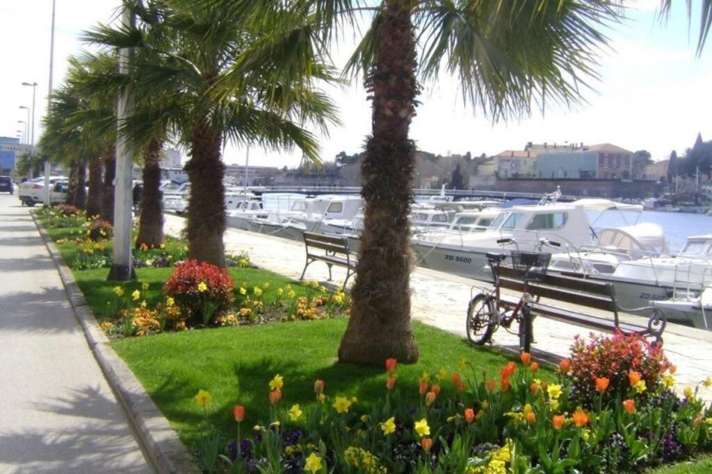 Hygge Zadar Apartment Bagian luar foto